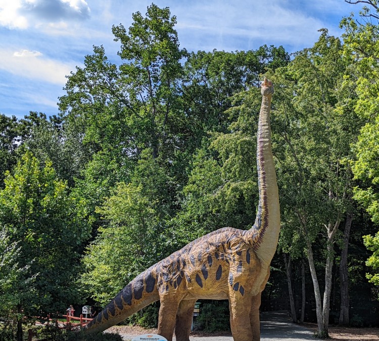 the-dinosaur-place-photo